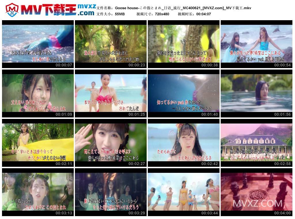 Goose house-この指とまれ_日语_流行_MC400621